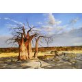 Graham Kearney (SA) oil on board - the magnificent African Baobab