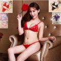 Seductive Lace Bras Set with Opened Bras and Crotch (L/XL)