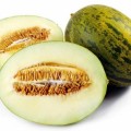 `Piel de sapo` melon - 20 seeds