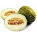 `Piel de sapo` melon - 20 seeds