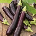Long brinjal (white and purple mixed ) - 30 seeds