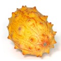 African horned melon (Kiwano) - 200 seeds