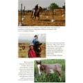 One Hundred and Four Horses  --  Mandy Retzlaff  -  Rhodesiana
