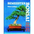 Bemeester Bonsai  -  PieterLoubser