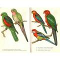 Cage Birds in Colour  --  H F and G Whitherby