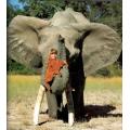 Tippi - My Book of Africa