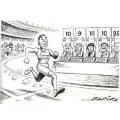 VuvuzelaNation  --  Zapiro on SA Sport 1995 - 2013