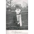 The Book of Cricket  --  C B Fry