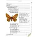 Emperor Moths of KwaZulu-Natal --  Michael Cooper
