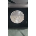Silver kruger rand 2022 in box