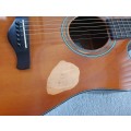 Ibanez AW400 Artwood Acoustic Guitar