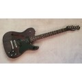 Fender Thinline Telecaster Jim Adkins Signature Guitar