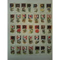 Rare Boy Scout & Girl Guide Cigarette Cards (35 of 50 series) John Player & Sons