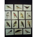 (107/150) Vintage Our South African Birds Cigarette Cards