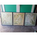 Set of Three Framed 1973 Winelands Maps (Robertson, Paarl, Olifantsrivier)