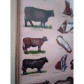 Carnes Argentinas Butchery Poster In Old Glass Covered Frame