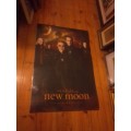 Official NECA (2008-2012) Vinyl Plastic Poster `The Twilight Saga` New Moon