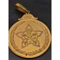 Suid Afrikaanse Weermag medalje. Very scares.