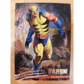 Fleer-Ultra X-Men Department H #10, Wolverine