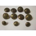 Collection Brass Military Buttons