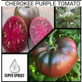 CHEROKEE PURPLE x 15 seeds
