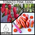 TOMATO PINK FANG x 15 + organic seeds