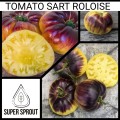SART ROLOISE TOMATO x 15 organic seeds
