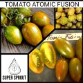 TOMATO ATOMIC FUSION x 15 organic seeds