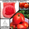  AMISH PASTE TOMATO   x 15 organic seeds