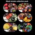 BLACK TOMATO COLLECTION PACK x 6 individually packed