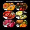BIG BEEFSTEAK TOMATO COLLECTION PACK  x 6 individual packs