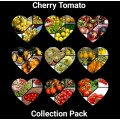 Cherry tomato collection pack x 9 individual packs