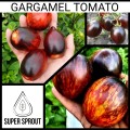 Gargamel tomato x 15 organic seeds