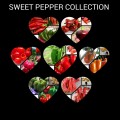 Sweet Pepper Collection Pack x 7 individual packs