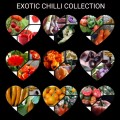 Exotic Chilli Collection Pack x 9 individual packs