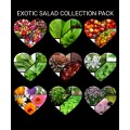 Exotic Salad Collection Pack x 9 individual packs