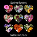 SPRING FLOWER COLLECTION PACK x 9 individual packs
