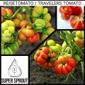 REISETOMATE HEIRLOOM TOMATO x 15 seeds