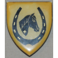 SADF Equestrian Centre shoulder flash - pins in tact