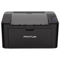 Panum  P2207 Series Black Printer