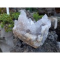 WHITE SPIRIT QUARTZ CLUSTER  1.00kg