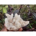 WHITE SPIRIT QUARTZ  0.475grams