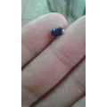 0 .6ct  Natural Royle blue Sapphire  untreated unheated Investment stone
