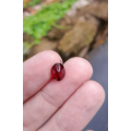 Natural 1.01 Ct Red Garnet
