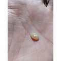 1Ct Natural Welo Ethiopian Opal