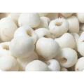 LYCHEE `WAI CHEE`   -Litchi Chinensis- 5 seeds