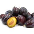 PRUNE PLUM  / D`AGEN PRUNE PLUM - Prunus Domestica D`Agen    -  3 SEEDS
