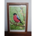 Beautiful pair of old signed bird paintings.