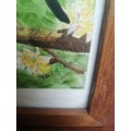 Beautiful pair of old signed bird paintings.