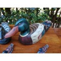 Beautiful wooden duck family.